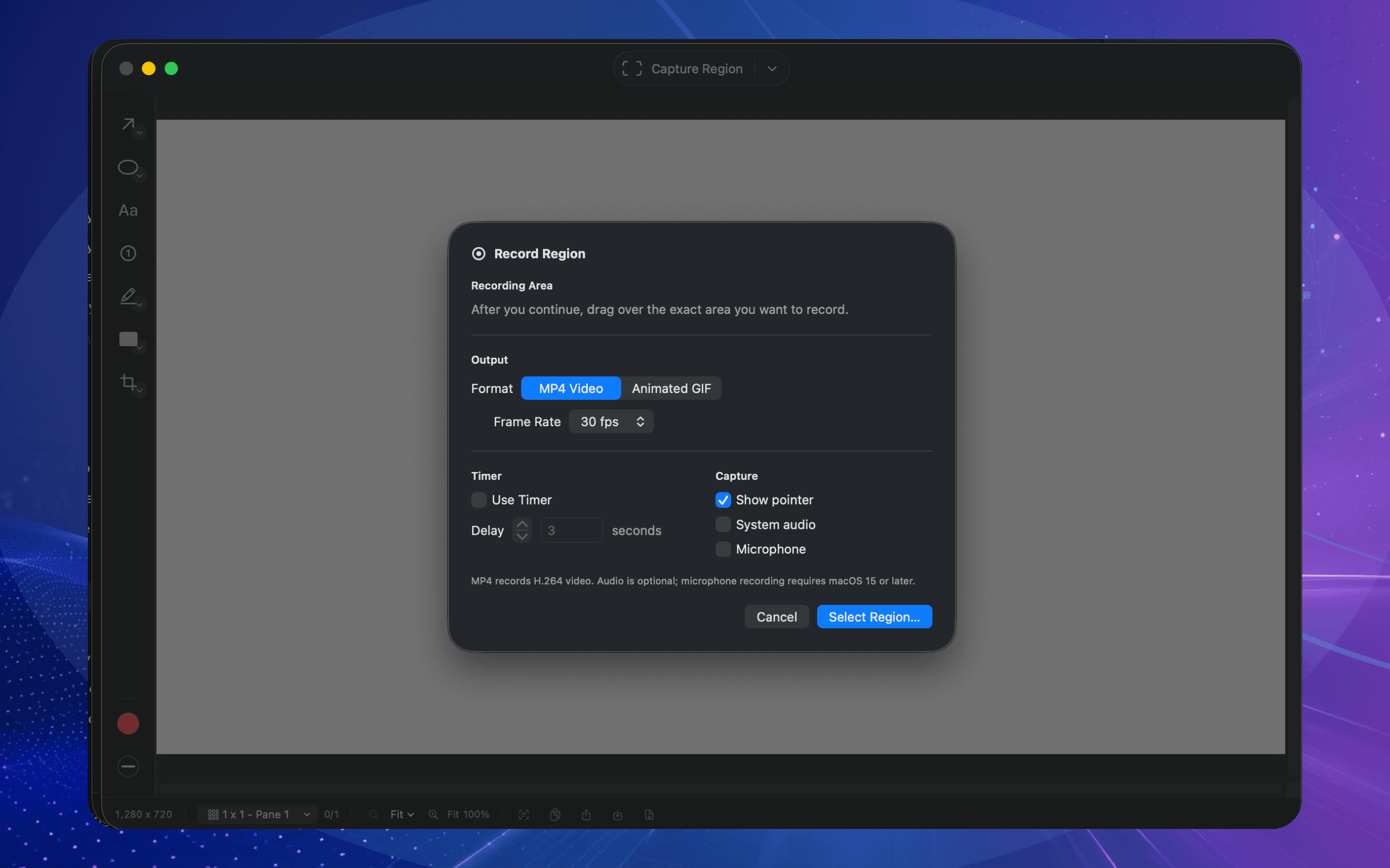 OneMark Capture Record Region setup with MP4 and animated GIF output options