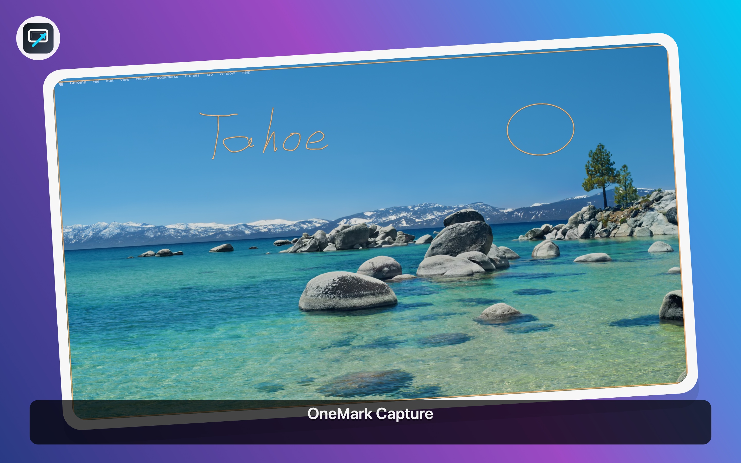 OneMark Capture Tahoe markup output